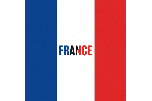 France: The Brutal Efficiency of the Plantation Machine